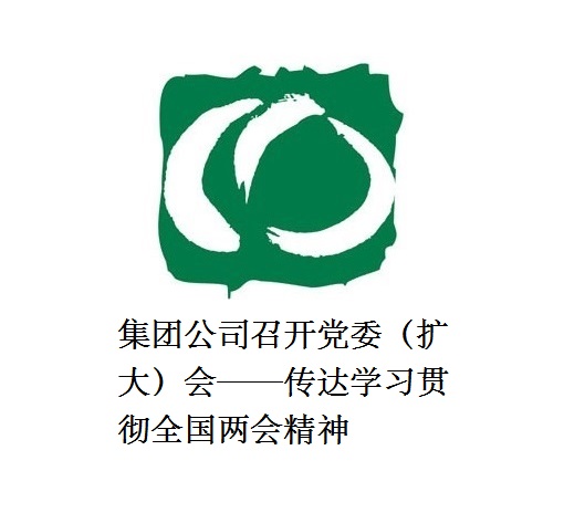 二八圈召开党委（扩大）会——传达学习贯彻全国两会精神