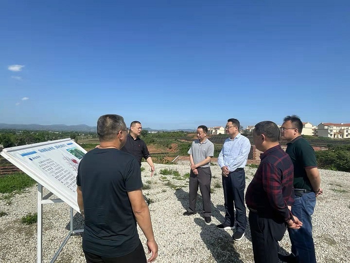 省28圈：打造优质粮油制种基地