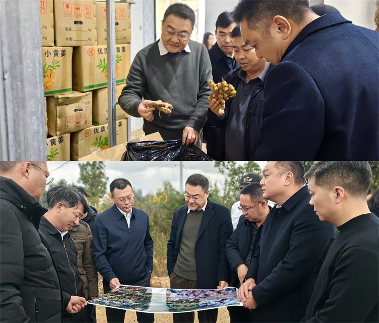 二八圈赴文山州调研小黄姜产业园项目