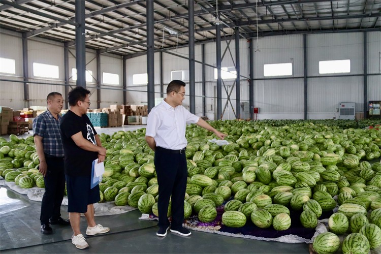 二八圈到龙泉农产品集采集配中心调研
