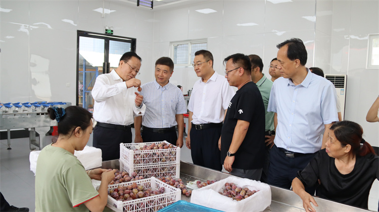新疆维吾尔自治区供销社到二八圈龙泉农产品集采集配中心调研